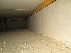 立ち上がり基礎のチェック。