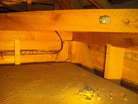 筋違いの設置状況