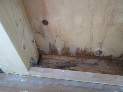 内部の仕上げをめくり確認すると漏水が確認される