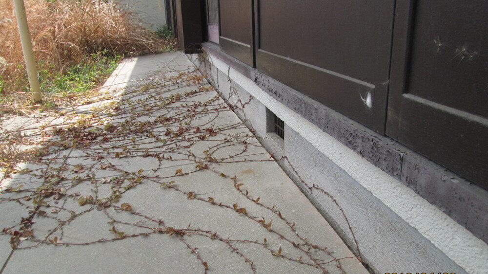 擁壁造成地で発生した不同沈下の疑い事例を解説。基礎や土間のひび割れ、テラスと建物の隙間から読み取れる地盤リスクとは何か。経過観察で済むケースと地盤改良・沈下修正が必要なケースの違い、費用感や判断ポイントまで分かりやすく説明します。中古住宅購入前に必ず確認すべき地盤の注意点とは。