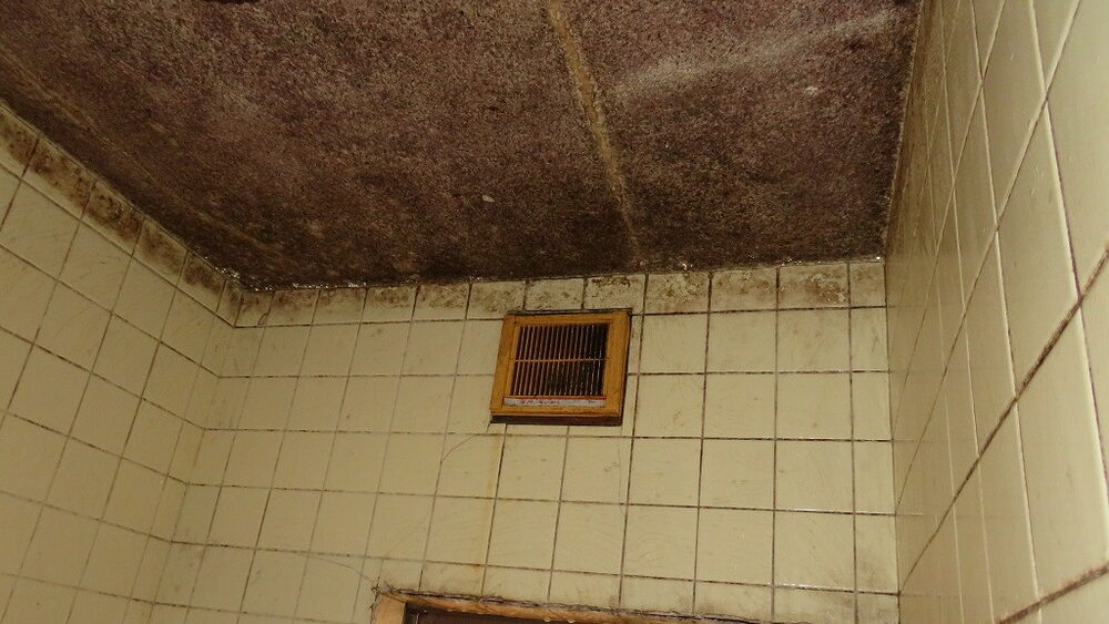 築40年の木造住宅で発生した浴室天井のカビ事例を解説。カビの本当の原因は湿気環境にあり、換気不足や断熱不良が関係しています。放置すると健康被害や構造劣化につながる可能性も。原因から改善方法、早期対応の重要性までわかりやすく説明します。