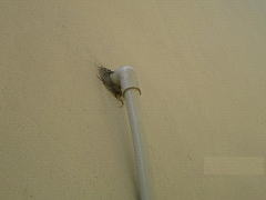 外壁と配管の取り合い部分をチェック