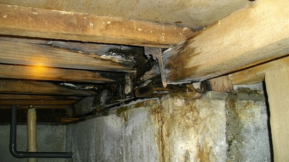 築45年の木造住宅で、浴室の防水不良により漏水が発生し、土台や床組が腐食した事例を解説。タイル浴室で起こりやすい劣化の原因とリスク、放置した場合の危険性、適切な対処方法まで、専門家がわかりやすく説明します。