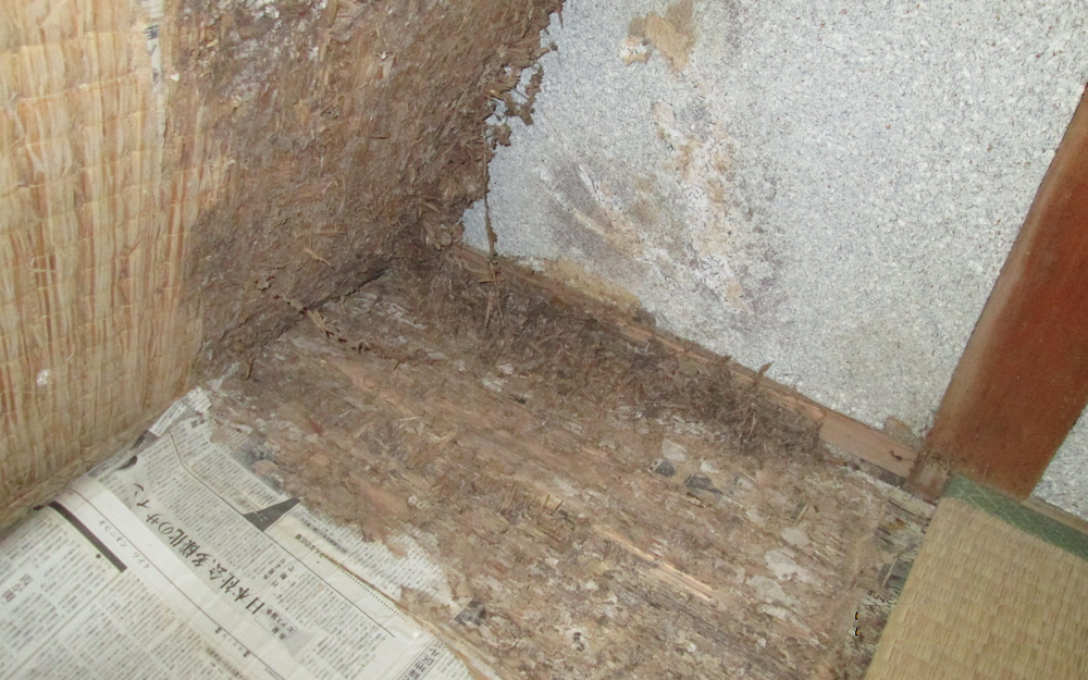 築50年の木造住宅で、畳をめくると床板が崩れる深刻な腐朽を確認。原因は白蟻だけでなく水分による劣化でした。本記事では、床腐朽の原因・見分け方・放置リスク・適切な対処方法を実例をもとにわかりやすく解説します。